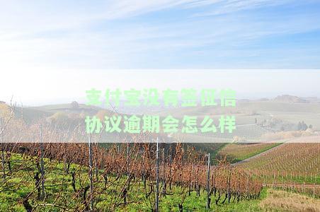 支付宝没有签征信协议逾期会怎么样-支付宝没有签征信协议逾期会怎么样吗