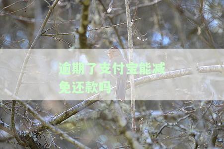 逾期了支付宝能减免还款吗是真的吗，支付宝逾期可以减免还款吗？真相大揭秘！