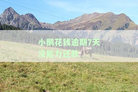 小鹅花钱逾期7天没能力还款-小鹅花钱逾期七天还款