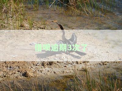 借呗逾期3次了-借呗逾期3次了不让借款了