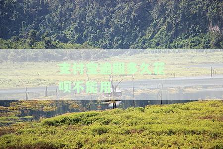支付宝逾期花呗几天会不会影响信用，逾期几天会影响信用吗？——支付宝花呗逾期的影响解析