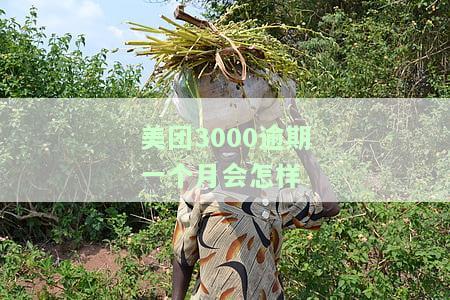 美团3000逾期一个月会怎样