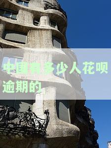 2021年花呗逾期人数，2021年：花呗逾期人数上升，警惕个人信用风险