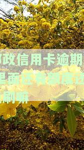 邮政信用卡逾期了,里面还有额度还能刷嘛，邮政信用卡逾期仍有额度，能否继续刷卡使用？
