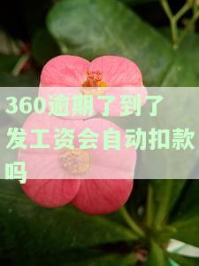 360逾期后会自动扣款吗？后果、扣款方式及是否会被告解析