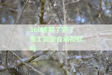 360欠款逾期怎么办？后果严重，立即解决！