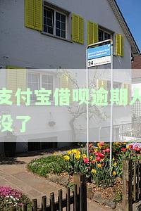 支付宝借呗逾期人没了怎么办，支付宝借呗逾期未还，借款人失踪应如何处理？