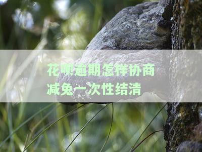 花呗逾期如何协商还款，花呗逾期怎么办？教你如何协商还款