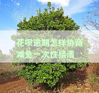花呗逾期如何协商还款本金？详细步骤与方法