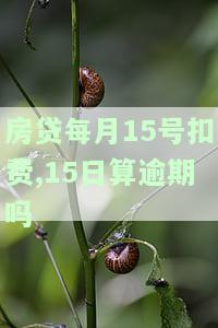 房贷15号扣款16号了还没扣，房贷扣款误：15号应扣未扣，16号仍未完成