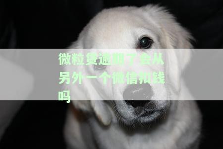 微粒贷逾期会从另一个微信扣钱吗？安全吗？怎么处理？