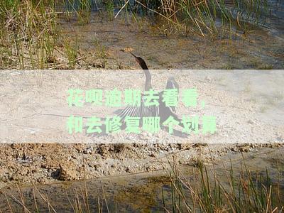 花呗逾期去看看,和去修复哪个划算