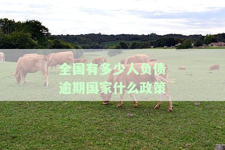 全国有多少人负债逾期国家什么政策-2021年全国有多少人负债逾期