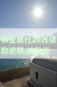农业银行20万贷款逾期,被起诉会怎样，逾期20万！农业银行贷款惹上官司，可能面临哪些后果？