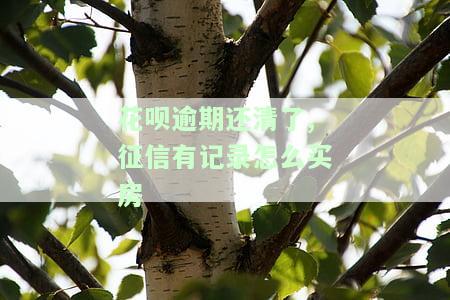 花呗有过逾期,但是都还了,影响买房吗，花呗逾期已偿还，对购房有影响吗？