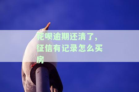 花呗逾期后全部还清影不影响贷款买房，花呗逾期全还清，是否会影响你的房贷申请？
