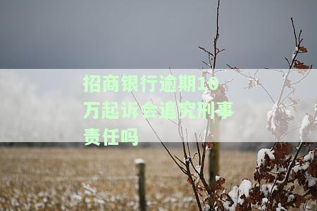 招商银行逾期10万起诉会追究刑事责任吗-招商银行逾期10万起诉会追究刑事责任吗