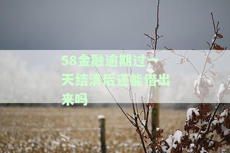 58金融：逾期一天结清后能否再次借款？影响及解决方案
