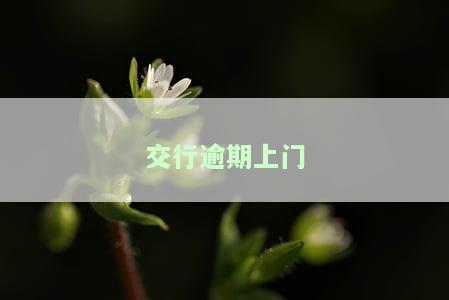 交通银行逾期上门了还可以协商还款吗，信用卡逾期未还，交通银行上门催收，还有机会协商还款吗？