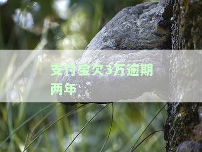 支付宝欠3万逾期两年会怎样，支付宝欠款3万逾期两年，可能会面临什么后果？