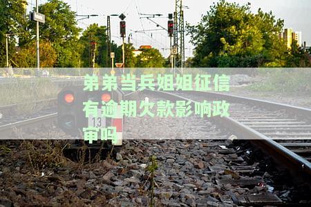 弟弟当兵姐姐有案底会影响政审结果吗？