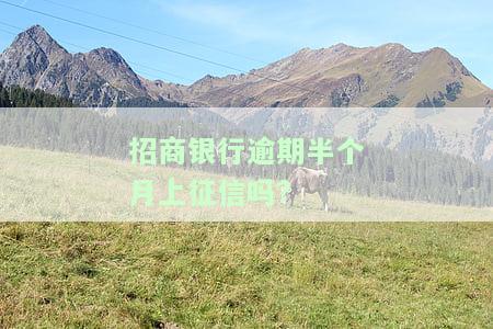招商银行逾期半个月上征信吗？影响大吗？如何解决？还款后还能使用吗？逾期后果是什么？还款逾期半月，钱为何多了很多？