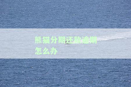 猫分期上征信吗？公司背景、是否正规全解析