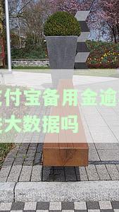 支付宝备用金逾期是否会影响其他平台贷款及信用？