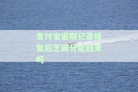 支付宝芝麻逾期修复：真的能修复吗？需要多长时间？在哪里操作？快速获取方法是什么？可以修复多次吗？
