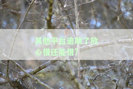 放心借逾期了会不会上门，逾期还款，放心借是否会进行上门催收？
