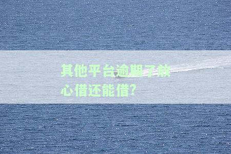 其他平台逾期了放心借还能借?