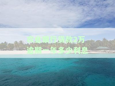 农业银行贷2万要还多少利息？详细条件及计算方法