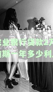 中国农业银行贷款2万，轻松获得资金：中国农业银行提供2万元贷款服务