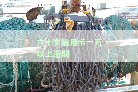 六十岁信用卡一万以上逾期处理方法及后果分析