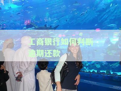 工商银行逾期记录何时更新？逾期多久上征信，计算方法是什么？