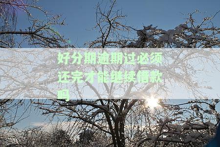 逾期后能否再次借款？影响与解决办法