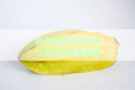 网商贷第二天还款会影响征信吗，网商贷第二天还款是否会影响征信？
