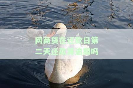 网商贷当天还款算逾期吗，网商贷还款疑问解答：当天还款是否算作逾期？