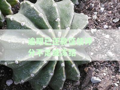 逾期申报扣信用等级评分：一次扣分、影响综合评分，逾期综合评分不足多久更新？