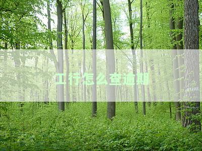 工商银行如何查询逾期还款记录？更新时间及计算方法