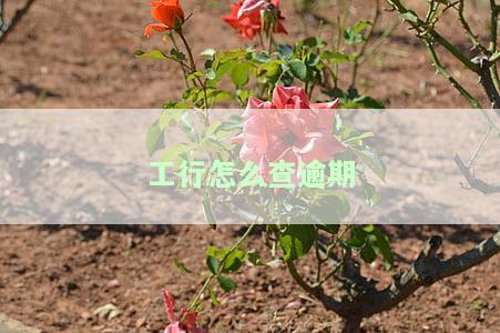 工商银行如何查询欠款记录、总额、情况及房贷欠费金额？