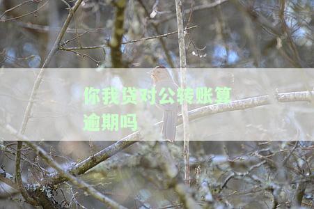 你我贷对公还款安全可靠，有对公账号，多久能划清？