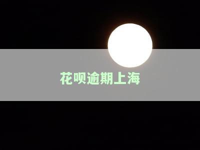 花呗逾期上海银行怎么老是打电话来催款，频接催款电话？解析花呗逾期后上海银行的催收策略