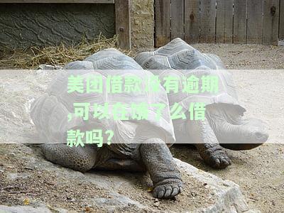 美团借款未逾期，能否在饿了么借款？安全吗？对银行贷款有影响吗？