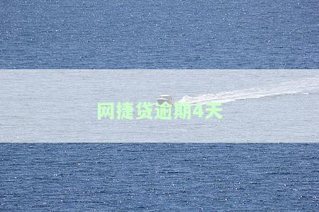 网捷贷逾期4天的影响及解决方法