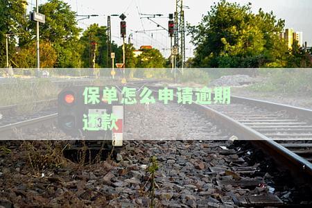 保单如何申请逾期还款？流程、所需银行卡及含义解析，借款逾期后如何还款？还能再次使用吗？