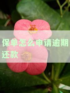 保单怎么申请逾期还款流程，如何申请保单逾期还款流程？一份详细的指南