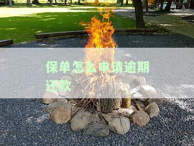 保单怎么申请逾期还款-保单怎么申请逾期还款的