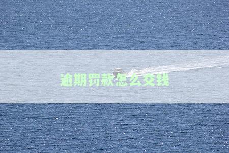 逾期罚款怎么交钱-逾期罚款怎么交钱的