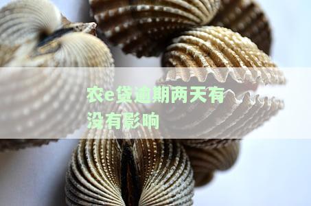 农e贷逾期了两天还能贷款吗，农e贷逾期两天后能否再次申请贷款？